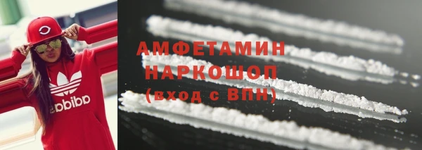 ГАЛЛЮЦИНОГЕННЫЕ ГРИБЫ Вязники