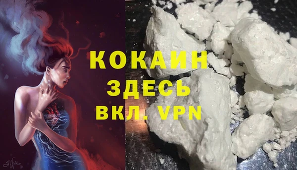 ГАЛЛЮЦИНОГЕННЫЕ ГРИБЫ Вязники