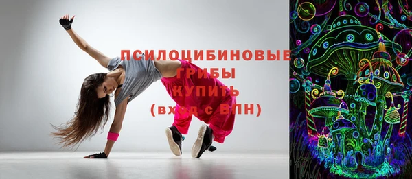 ГАЛЛЮЦИНОГЕННЫЕ ГРИБЫ Вязники